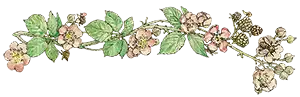 Brambly Hedge illustration