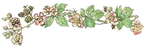 Brambly Hedge illustration